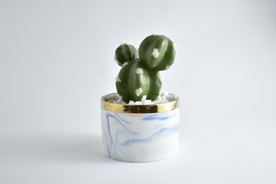 Displacement Activity