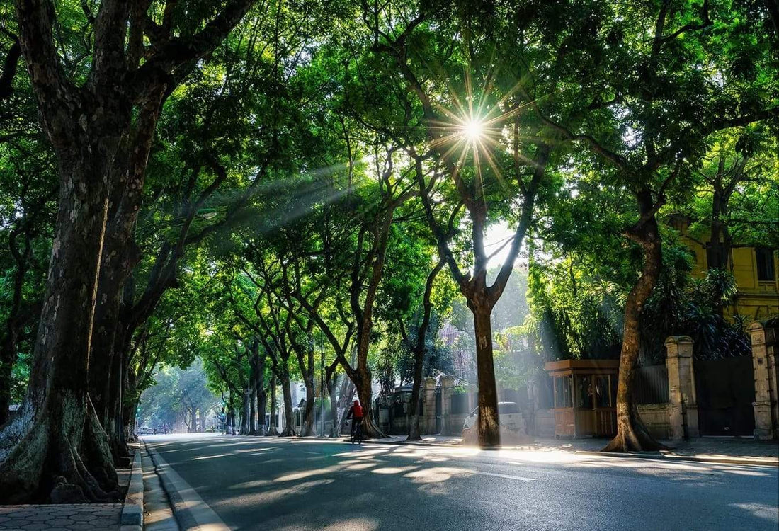 How to Be a Great Party Host dress