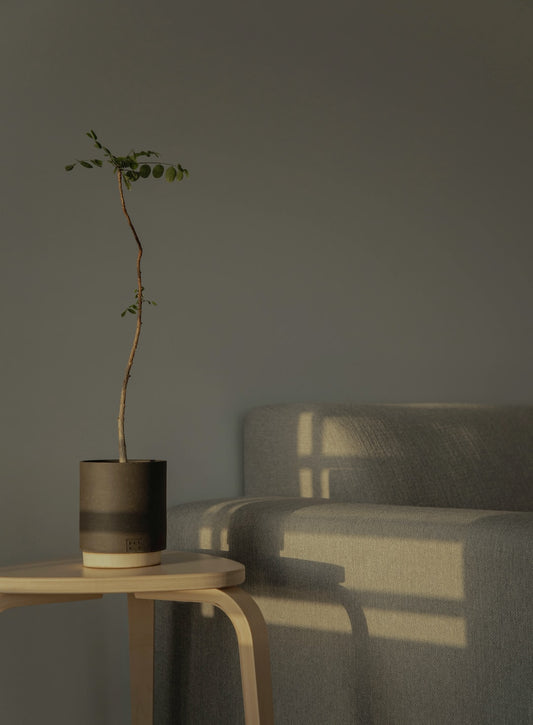 Displacement Activity