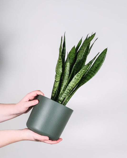 Never Talk To Strangers