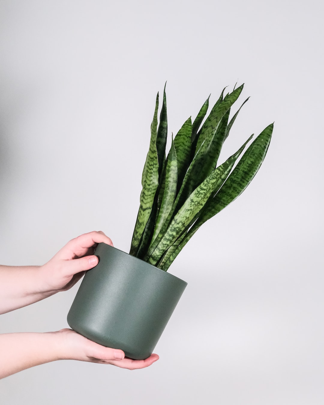 Size Isn't Everything